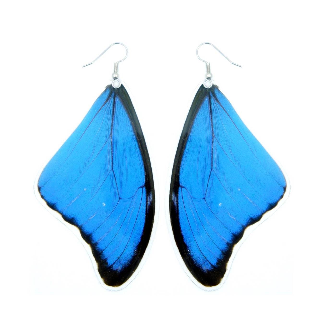 REAL Butterfly Wing Earrings | Cruelty Free | Garden Fairy Co.