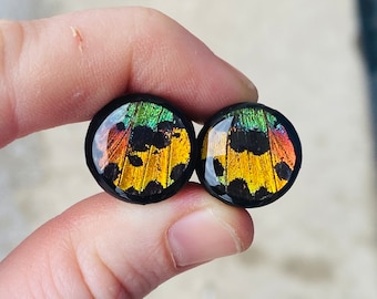 Real Butterfly Wing Plugs | Rainbow Sunset Moth 1/2"-1 1/2" Gauge & Plug Earrings | Butterfly Plugs | Butterfly Wings Ear Gauges