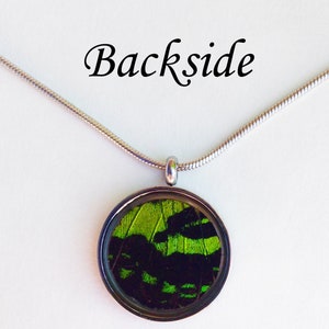 Real Butterfly Wing Necklace Green Sunset Moth Wing Pendant Necklace Stainless Steel Butterfly Wing Pendant Resin Sunset Moth Jewelry image 4