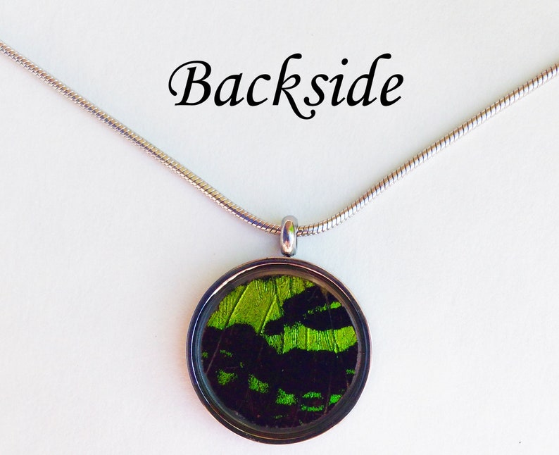 Real Butterfly Wing Necklace Green Sunset Moth Wing Pendant Necklace Stainless Steel Butterfly Wing Pendant Resin Sunset Moth Jewelry image 4