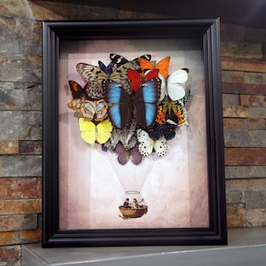 Real Butterfly Hot Air Balloon Framed Art: Steampunk Wall Decor (11 x 14)