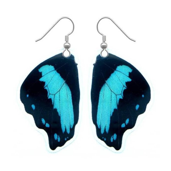 Real Butterfly Wing Earrings | Black and Blue Butterfly Wings Earrings | Papilio Bromius | Butterfly Jewelry | Dried Butterfly Earrings