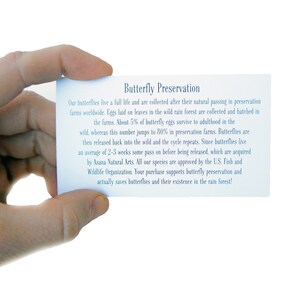 May include: A white card with blue text that reads "Butterfly Preservation". The text explains that butterflies are collected after their natural passing in preservation farms worldwide. Eggs are hatched in the farms and then released back into the wild. The card also states that the purchase supports butterfly preservation and actually saves butterflies and their existence in the rain forest.