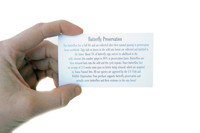 May include: A white card with blue text that reads "Butterfly Preservation". The text explains that butterflies are collected after their natural passing in preservation farms worldwide. Eggs are hatched in the farms and then released back into the wild. The card also states that the purchase supports butterfly preservation and actually saves butterflies and their existence in the rain forest.