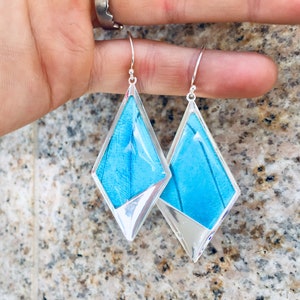 May include: A pair of silver earrings with a blue butterfly wing design. The wings are set in a diamond shape and have a silver border.