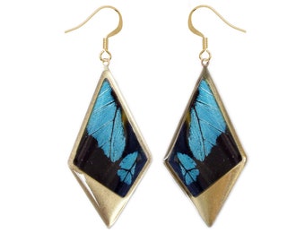 Real Butterfly Wing Earrings | Blue Butterfly Wings Kite Pendant Earrings | Papilio Bromius Butterflies Jewelry | Boho Brass Dangle Earrings