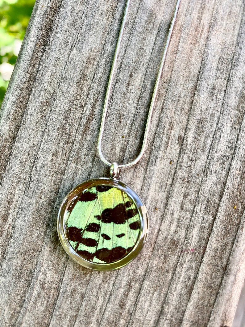 Real Butterfly Necklace Pendant Green Sunset Moth Nature Jewelry Gift Present Taxidermy Unique For Her Anniversary Birthday
