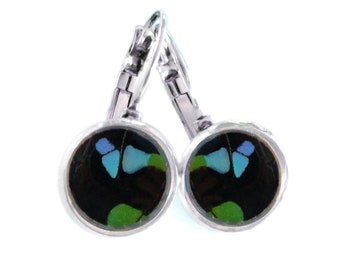 Real Butterfly Wings Post Earrings | Green Sunset Moth Earrings | Butterfly Wing Stud Earrings | Real Butterfly Jewelry | Black Green Studs
