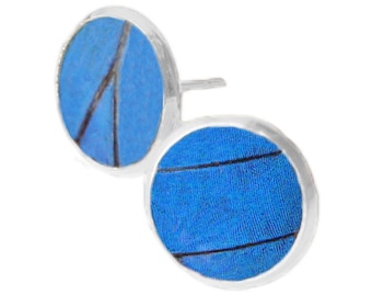 Blue Morpho Butterfly Wing Earrings: Silver Plated Post Jewelry