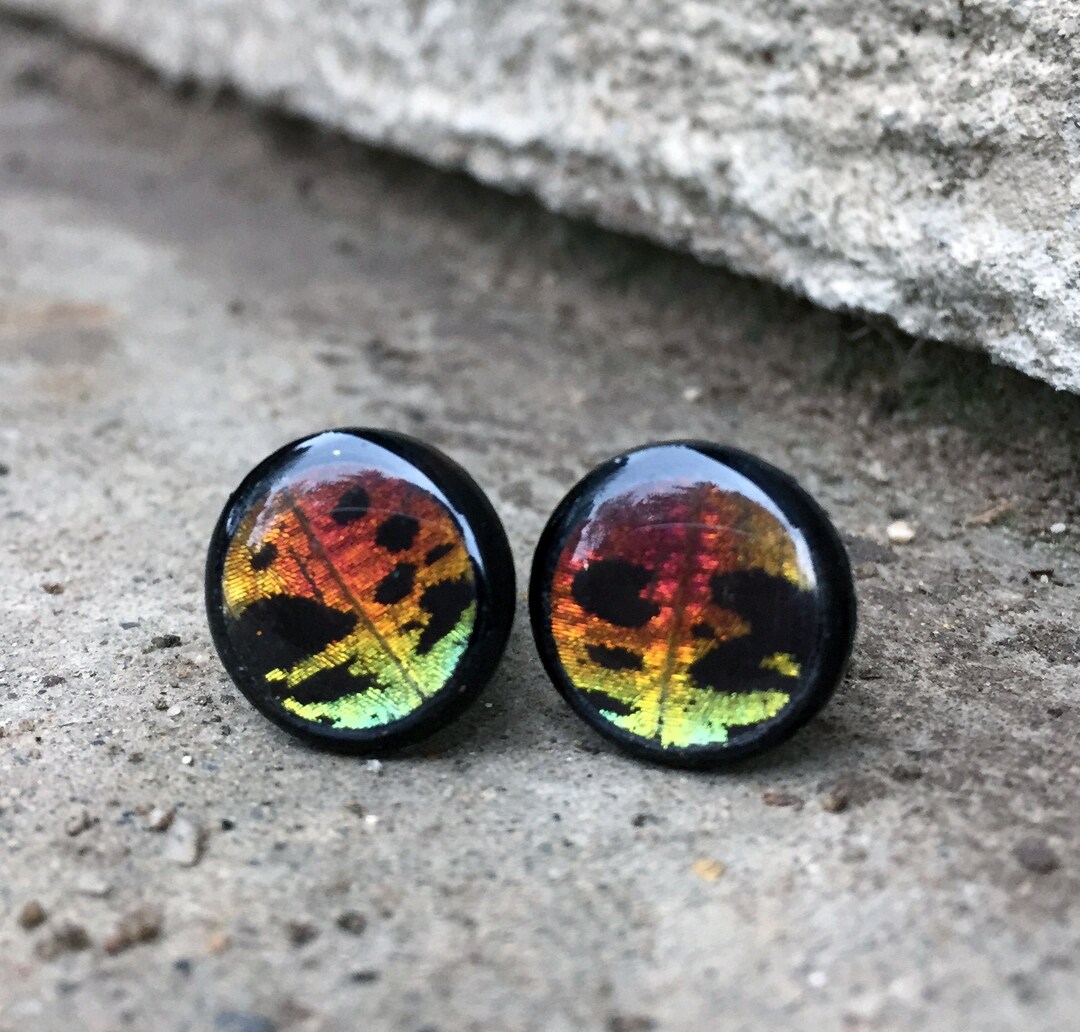 Real Butterfly Wing Plugs 2G00G Butterfly Plugs Rainbow Sunset Moth