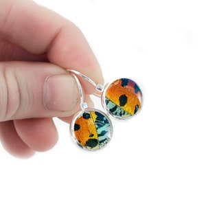 Real Butterfly Wings Post Earrings | Rainbow Sunset Moth Earrings | Butterfly Wing Stud Earrings | Boho Butterfly Jewelry | Gift For Her