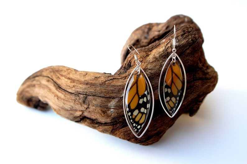 Real Butterfly Wing Forewing Monarch Butterfly Wing Earrings