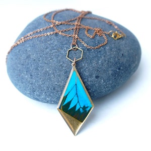 Real Butterfly Wing Necklace | Papilio Ulysses | Blue Butterfly Wing Pendant Necklace with Extra Long Chain | Boho Blue Butterflies Necklace