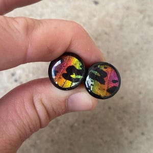 May include: A pair of black, circular earrings displaying vibrant, iridescent patterns. The patterns incorporate yellow, orange, red, and green hues, reminiscent of butterfly wings. The earrings are held between fingers.