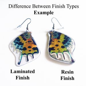 Real Monarch Butterfly Earrings Monarch Forewing Butterfly Wings, Butterfly Jewelry, Monarch Jewelry, Gifts For Her image 5