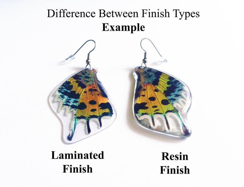 Real Monarch Butterfly Earrings Monarch Forewing Butterfly Wings, Butterfly Jewelry, Monarch Jewelry, Gifts For Her image 5