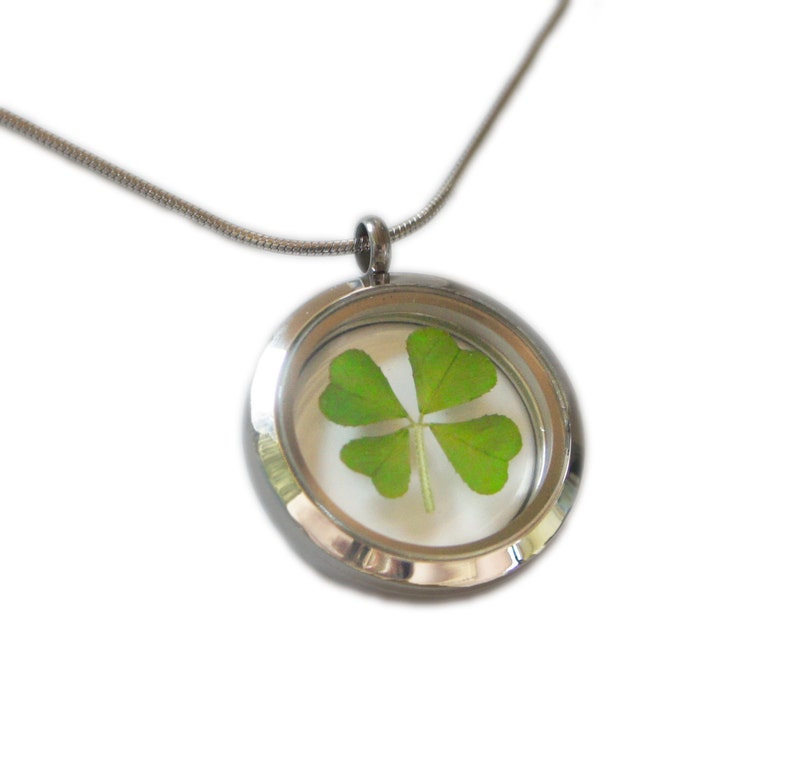 Real Four Leaf Clover Necklace 4 Leaf Clover Pendant Necklace Shamrock Necklace Lucky Four Leaf Clover Real Pressed Flower Necklace image 2