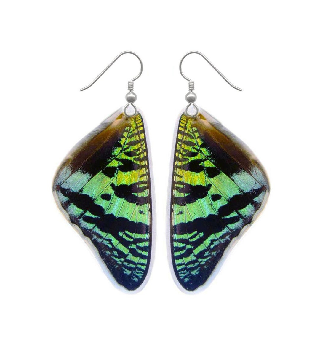 Real Butterfly Wings Earrings Green Sunset Moth Wing Earrings Green