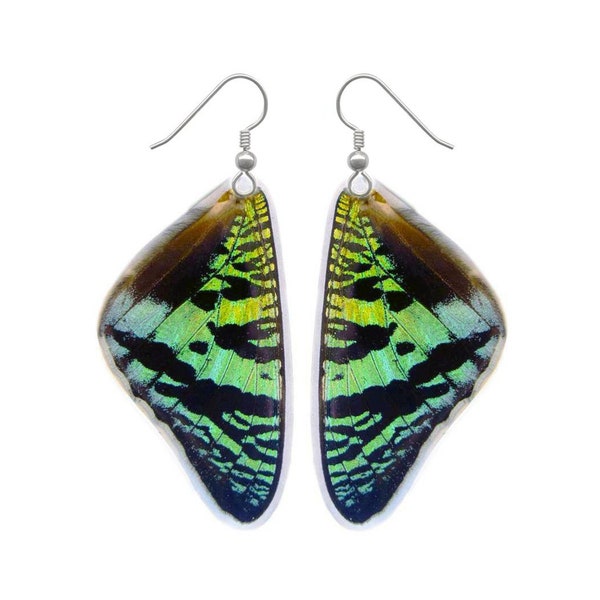 Boucles d’oreilles ailes de papillon réelles | Boucles d’oreilles Green Sunset Moth Wing | Boucles d’oreilles papillon vert | Boucles d’oreilles Boho | Véritables bijoux en forme d'aile de papillon.