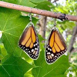 Real Monarch Butterfly Earrings Monarch Forewing Butterfly Wings, Butterfly Jewelry, Monarch Jewelry, Gifts For Her image 4