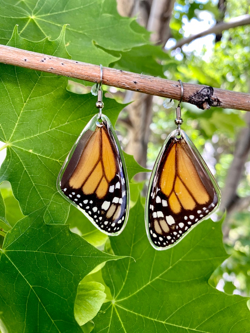 Veri orecchini a farfalla monarca Ala anteriore monarca Ali di farfalla, gioielli a farfalla, gioielli monarca, regali per lei immagine 4