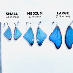 Real Blue Morpho Butterfly Wing Earrings Real Butterfly Earrings Butterfly Wing Jewelry Blue Butterfly Wings Earrings Butterflies image 2