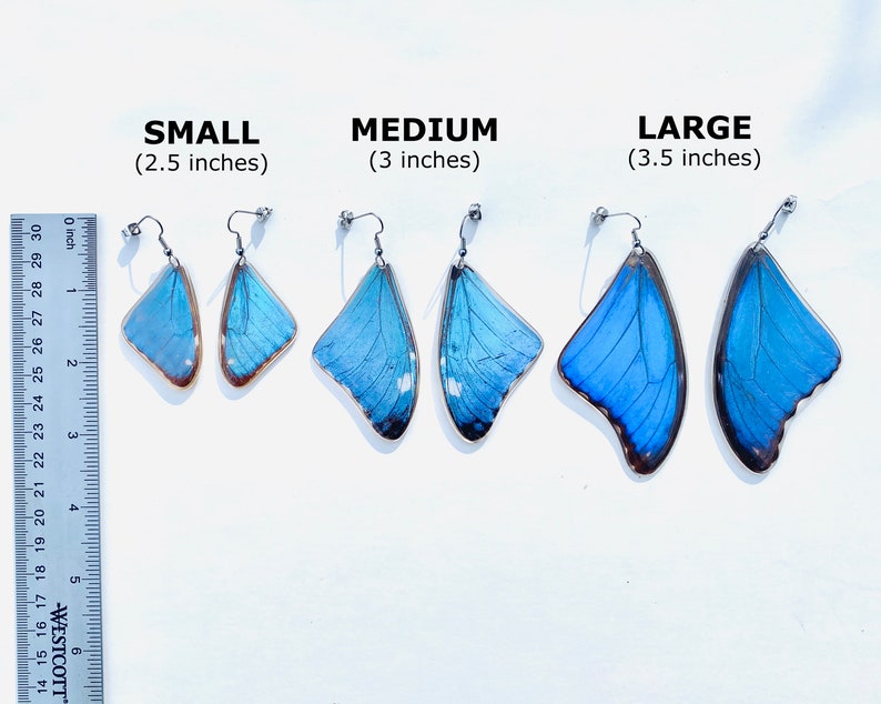 Real Blue Morpho Butterfly Wing Earrings Real Butterfly Earrings Butterfly Wing Jewelry Blue Butterfly Wings Earrings Butterflies image 2