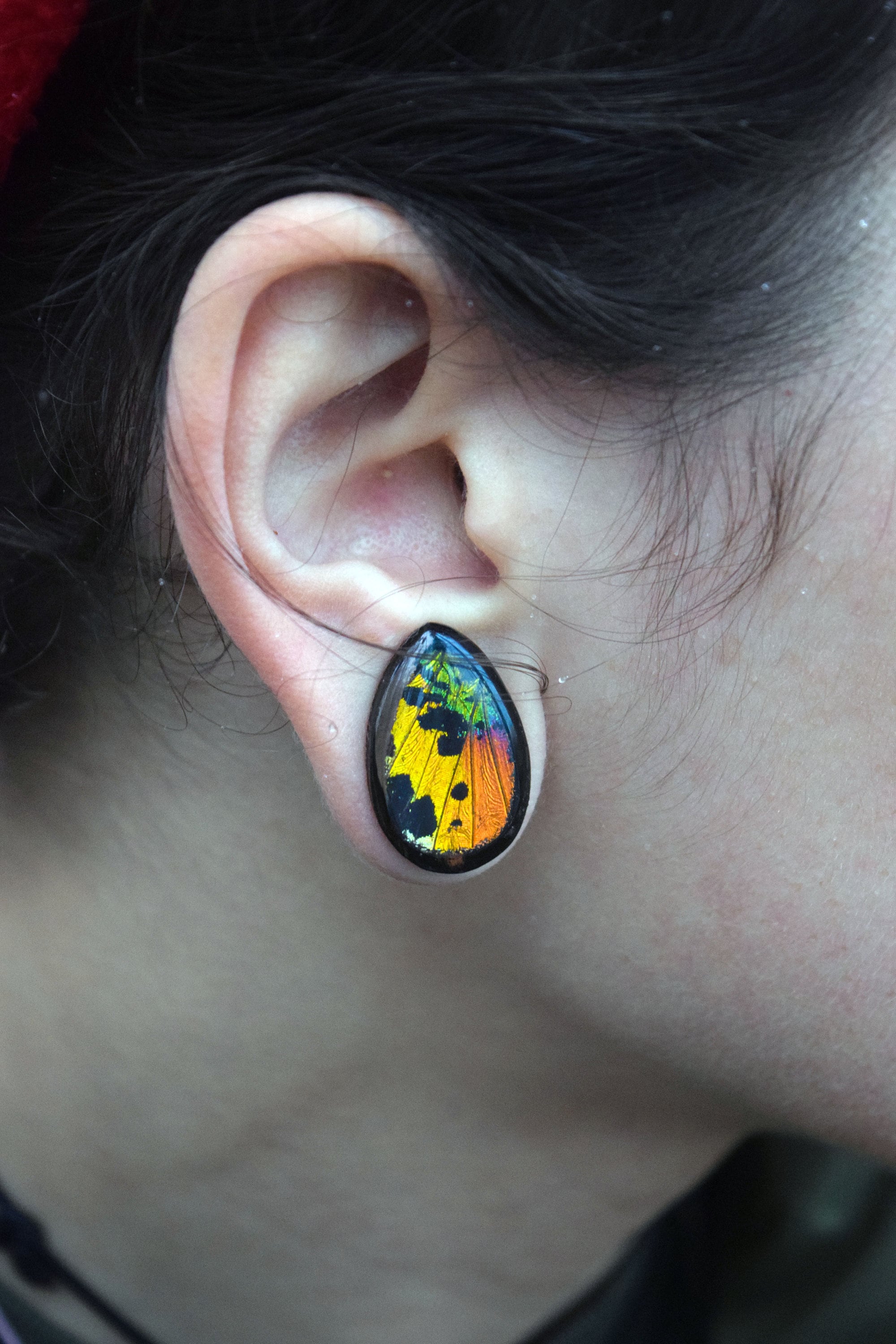 Real Moth Wing Teardrop Plugs 1 21 1 2 Rainbow Etsy Uk