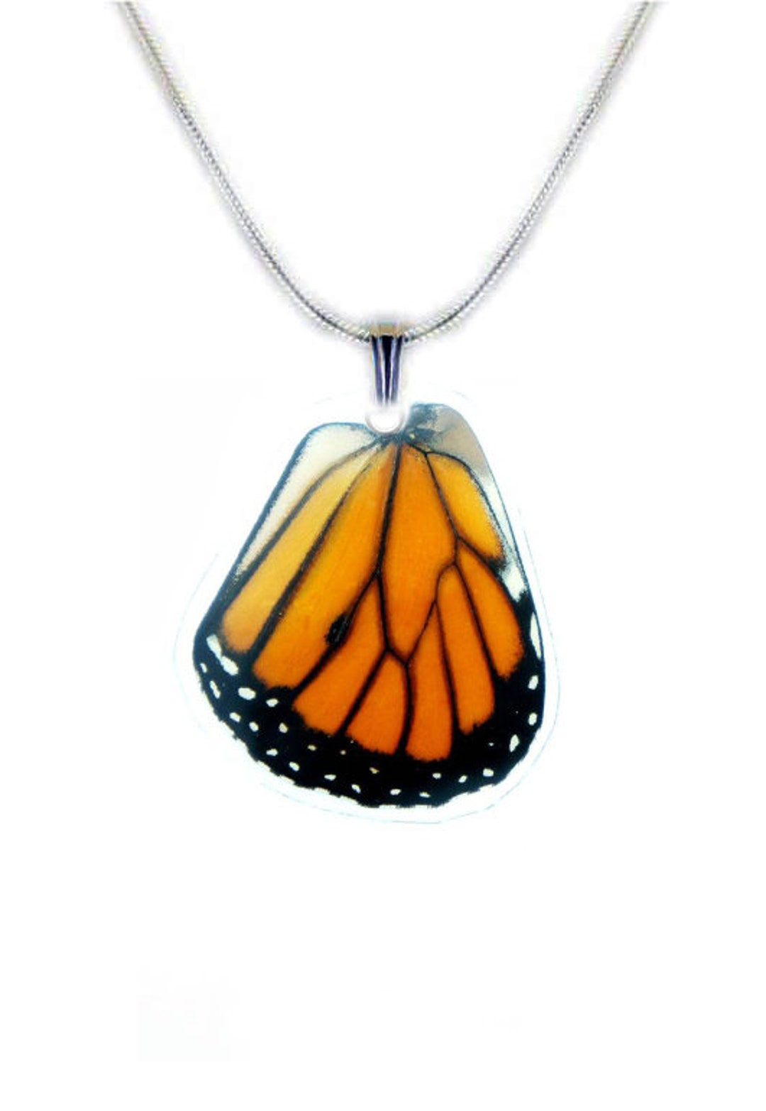 Real Monarch Butterfly Necklace | Preserved Monarch Hindwing Butterfly ...