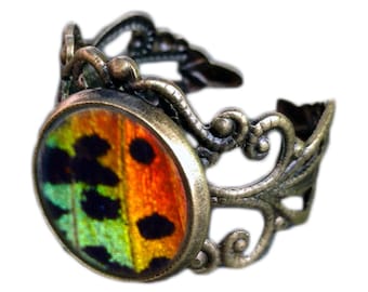 Anello con ali di vera farfalla / Anello con ali di vera farfalla in bronzo regolabile / Gioielli con falena arcobaleno al tramonto / Gioielli con farfalla arcobaleno / Anello Boho