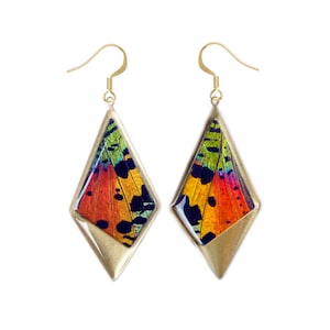 Recycled Butterfly Wing Earrings | Rainbow Sunset Moth Earrings | Kite Pendant Earrings | Real Butterfly Wings Earrings | Butterfly Jewelry