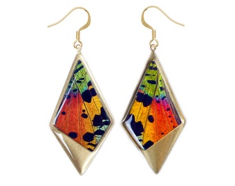Real Butterfly Wing Earrings: Rainbow Kite Pendant, Sterling Silver