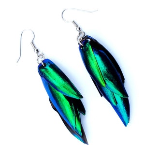 Real Beetle Earrings Beetle Wing Earrings Regular Size Jewel Beetle Jewelry Metallic Green Insect Jewelry BeetleWing Earrings image 2