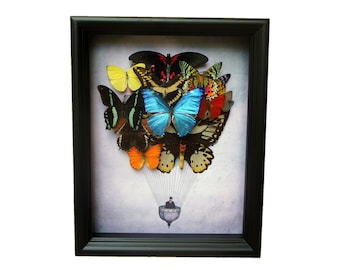 蝶の羽根　羽根絵　額縁付き 蝶の羽根 羽根絵 額縁付き