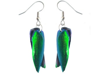 Real Beetle Wing Earrings | Front and Back | Real Jewel Beetle Jewelry | Unique Earrings | Beetlewing Earrings | Green Real Insect Jewelry