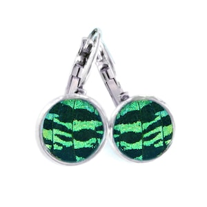 Real Butterfly Wings Post Earrings | Green Sunset Moth Earrings | Butterfly Wing Stud Earrings | Boho Butterfly Jewelry | Christmas Gift Her