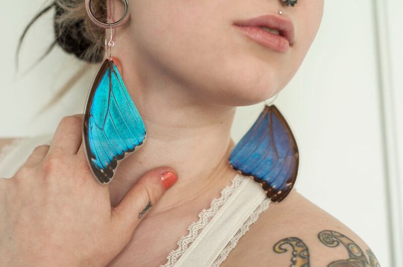 Real Blue Morpho Butterfly Wing Earrings Real Butterfly Earrings Butterfly Wing Jewelry Blue Butterfly Wings Earrings Butterflies image 5