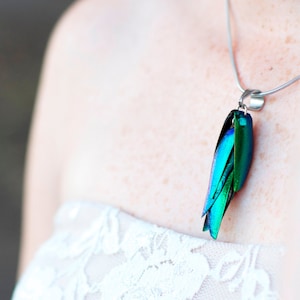 Real Beetle Wing Necklace | Beetle Necklace | Elytra Beetle Wings Jewelry | Stainless Steel | Beetlewing Irridescent Green Bug Jewelry