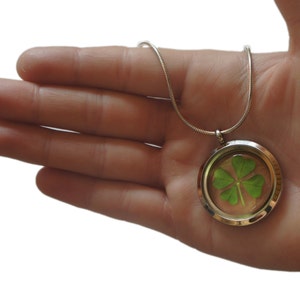 Real Four Leaf Clover Necklace 4 Leaf Clover Pendant Necklace Shamrock Necklace Lucky Four Leaf Clover Real Pressed Flower Necklace image 3