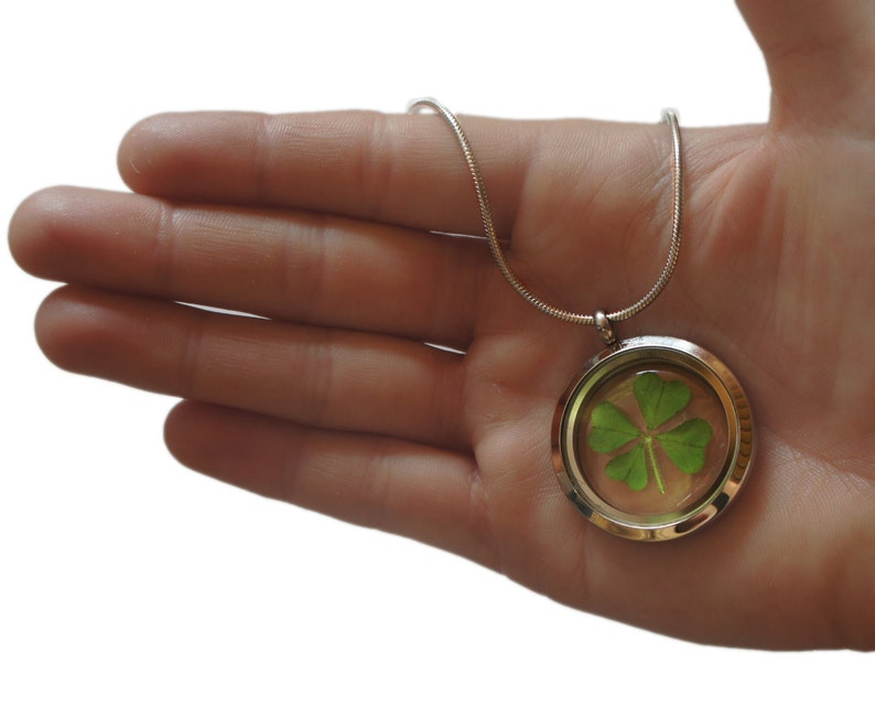 Real Four Leaf Clover Necklace 4 Leaf Clover Pendant Necklace Shamrock Necklace Lucky Four Leaf Clover Real Pressed Flower Necklace image 3