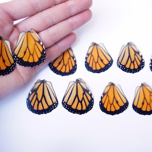 Real Monarch Butterfly Wings for Crafting Monarch Butterlfy Wings image 1