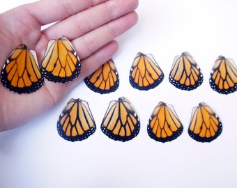 Real Monarch Butterfly Wings for Crafting - Monarch Butterlfy Wings
