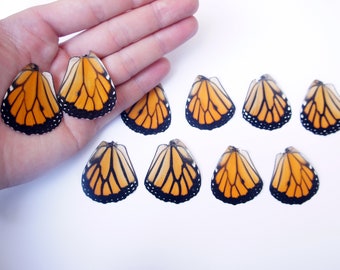 5 pair of Real Monarch Butterfly Wings: Crafting and Jewelry Making (5 pair/10 wings)