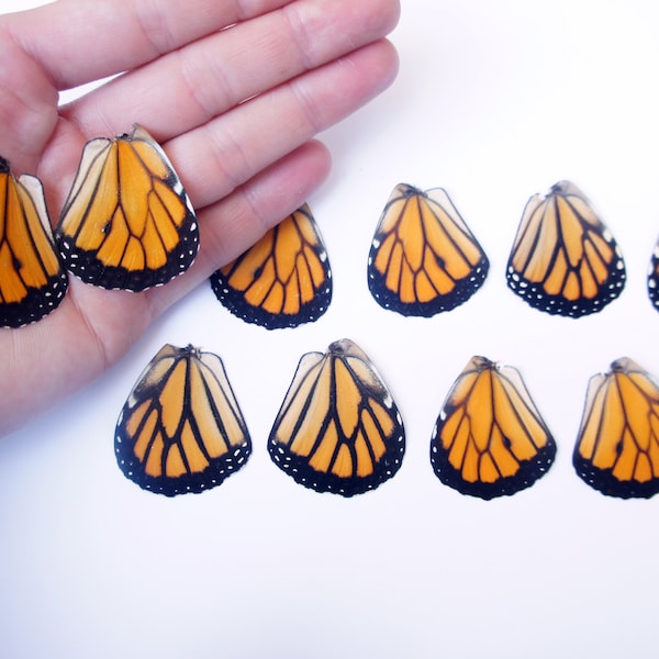 Real Monarch Butterfly Wings for Crafting - Monarch Butterlfy Wings