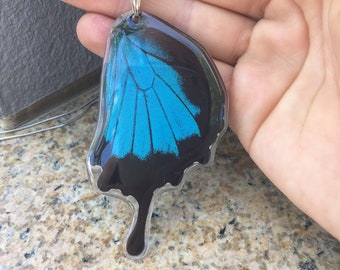 Real Butterfly Wing Necklace | Papilio Ulysses Necklace | Recycled Butterfly Wing Necklace | Butterfly Wings Jewelry | Real Butterfly Gift