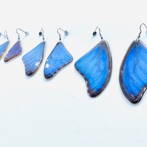 Real Blue Morpho Butterfly Wing Earrings Real Butterfly Earrings Butterfly Wing Jewelry Blue Butterfly Wings Earrings Butterflies image 3