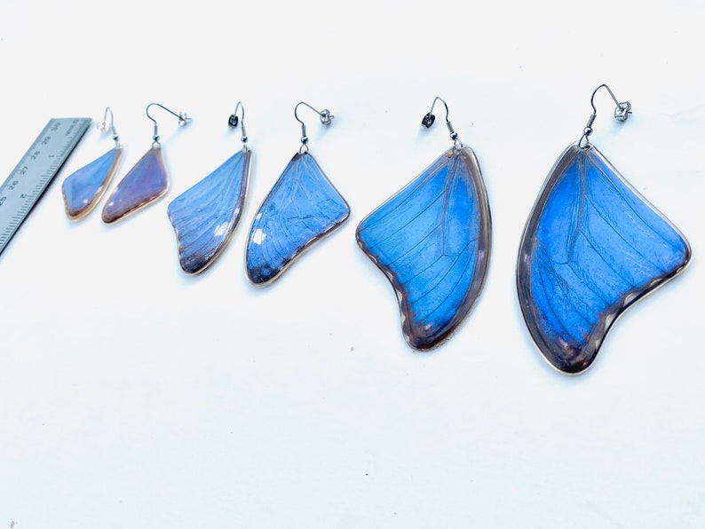 Real Blue Morpho Butterfly Wing Earrings Real Butterfly Earrings Butterfly Wing Jewelry Blue Butterfly Wings Earrings Butterflies image 3