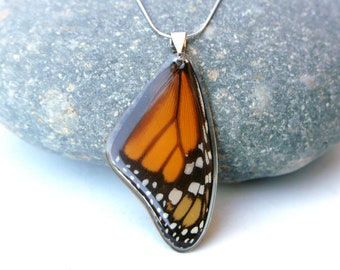 Real Monarch Butterfly Wing Necklace | Monarch Forewing | Butterfly Necklace | Butterfly Wing Jewelry | Gift For Her | Monarch Necklace