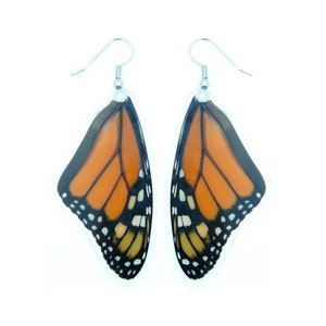 Real Monarch Butterfly Earrings Monarch Forewing Butterfly Wings, Butterfly Jewelry, Monarch Jewelry, Gifts For Her image 2