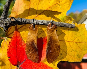 Maple Seed Pod - Earrings